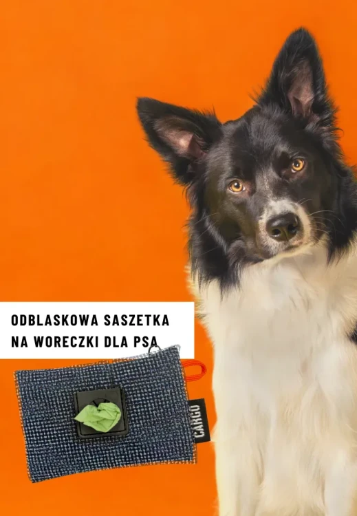 saszetka piesek.webp
